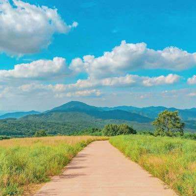 best365官网手机版下载手机版