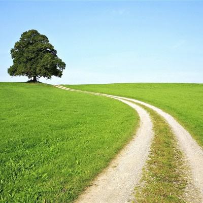 beat365中国在线体育app下载