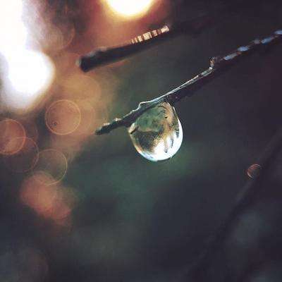 三亿体育下载手机版