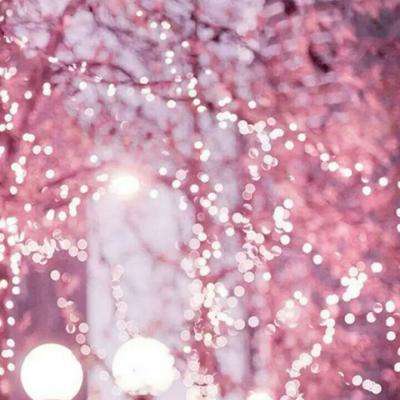 NG体育手机app下载